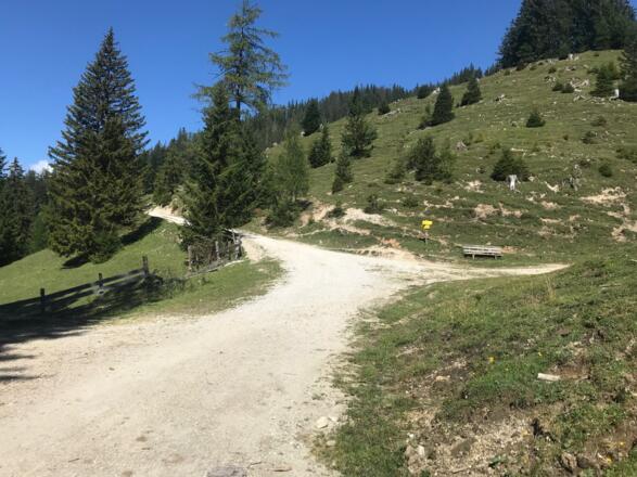 Abzweigung Oberbrunnalm - Isertal