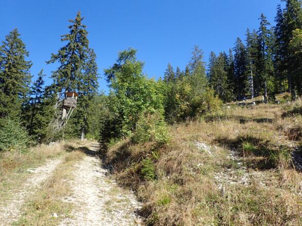 Rechts die Abzweigung zur Hüterhütte