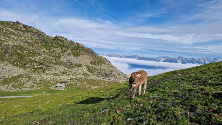Tulfein Jöchl mit Blick auf die Schaferhütte