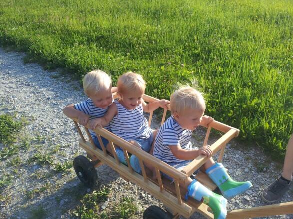 Fröhliche Leiterwagenfahrt