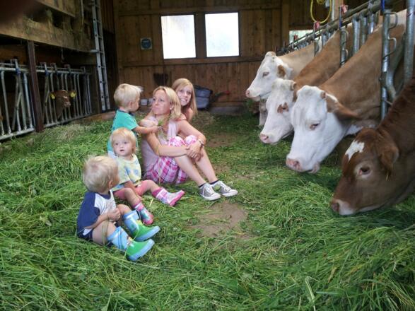Beim Kühe füttern mit dabei sein