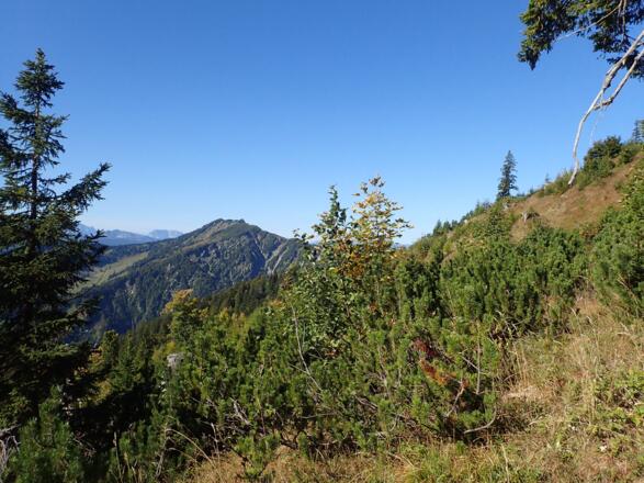 Blick Richtung Wildalphorn - Dürrnbachhorn