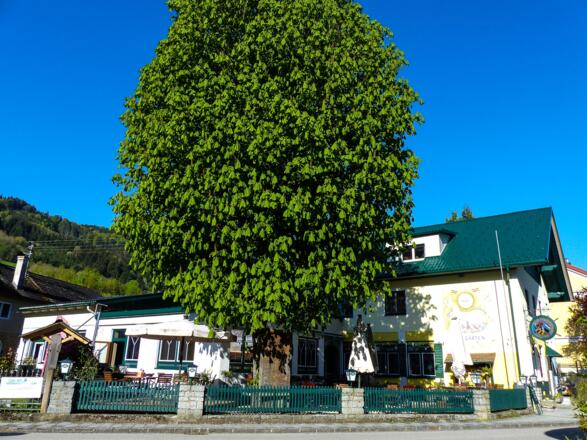 Hotel Ansicht