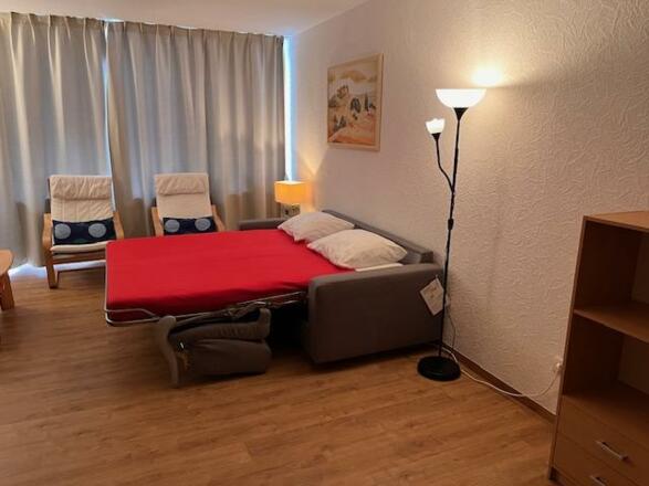 Schlafsofa 232