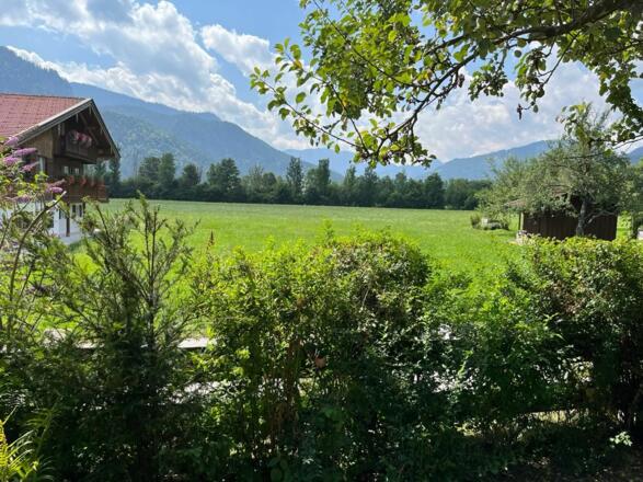 Blick aus dem Garten - Blauberge