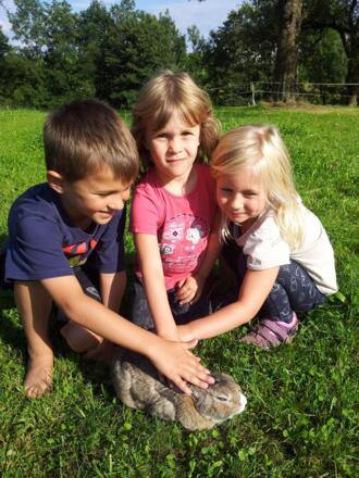 Streicheleinheiten für das Kaninchen