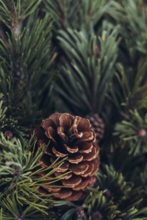 CSP_20201210_Hotel_Madrisa_192 Feratel