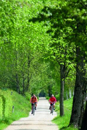 Sauerstoff tanken, die Natur genießen