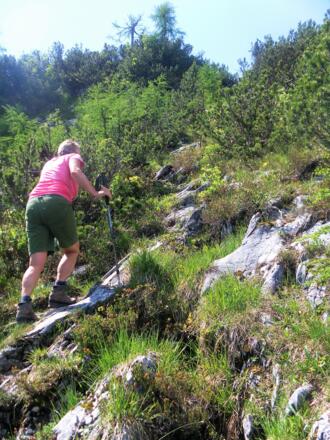 Latschengasse zum Gipfel