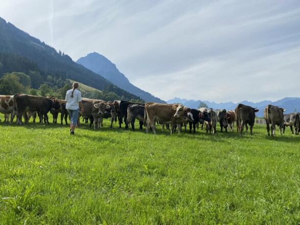 Urlaubshighlight Viehscheid Mitte September