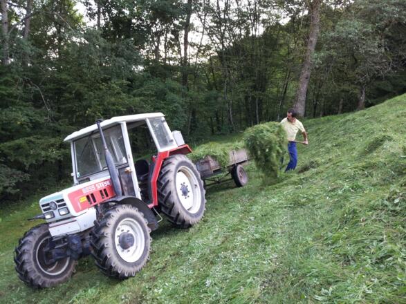 Mühsame Handarbeit am Berg
