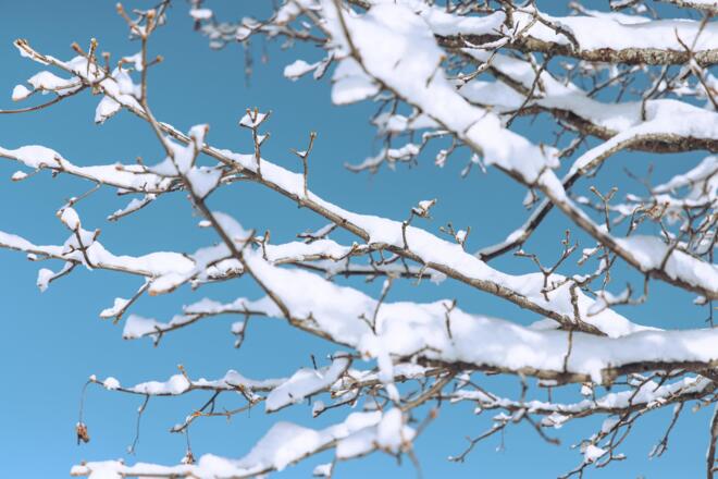 CSP_20201210_Hotel_Madrisa_146 Feratel