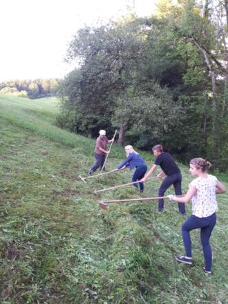 Bäuerin mit fleißigen Helfern