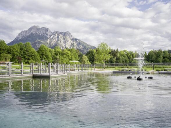 Garten mit Wasserwelt