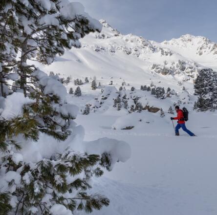 Warmlaufen für die Torspitze