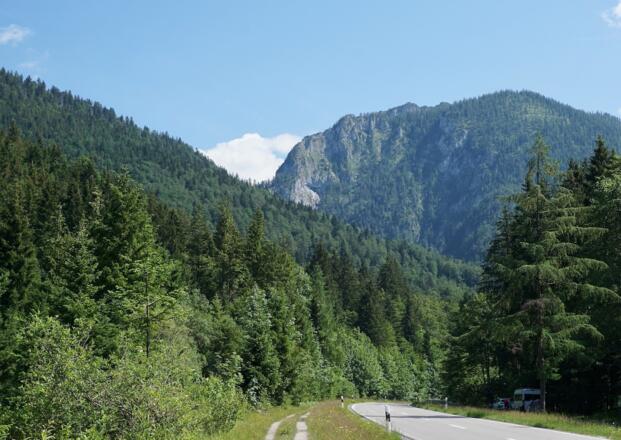 Weg zur Röthelmoosalm neben der B305
