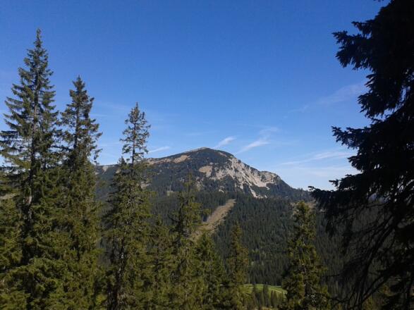 Halserspitze