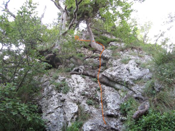 rechts an den Bäumen vorbei nach oben...