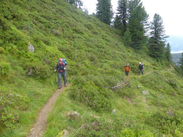 Schöner Pfad z.wischen Bielefelder Hütte und Dortmunder Hütte