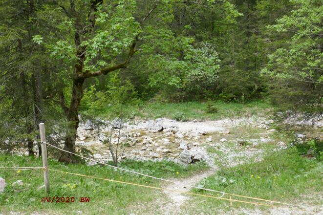 hier geht es über die Pöllat zum Steig Richtung Hoher Straußberg/Ahornsattel