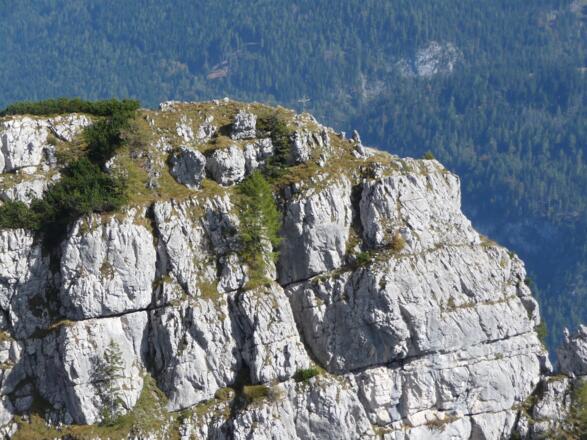 Kurz vor dem Mooslahnerkopf