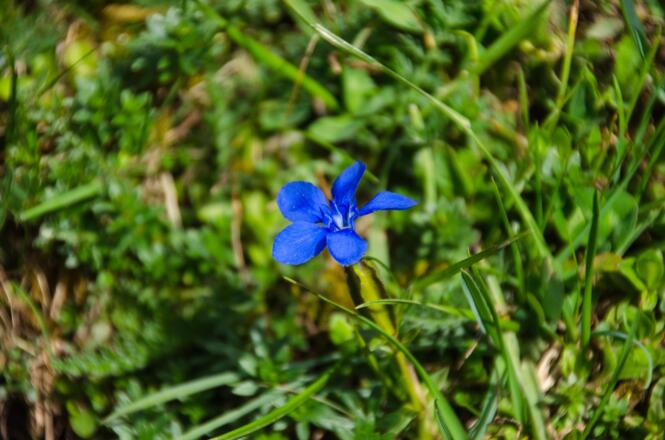 Auf der Wiese am Wasserfall
