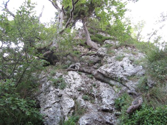 Der Abstieg über den Normalweg (Ostgrat)