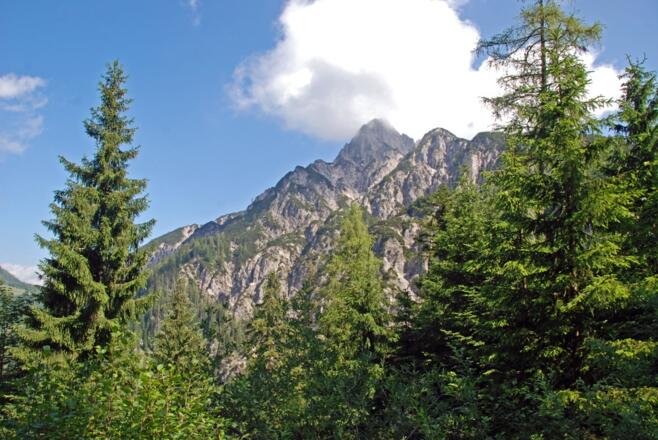 Die Südflanke der Reiteralm
