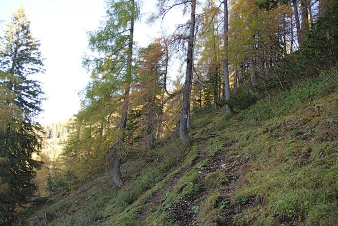 Weg über der Kreuzangeralm