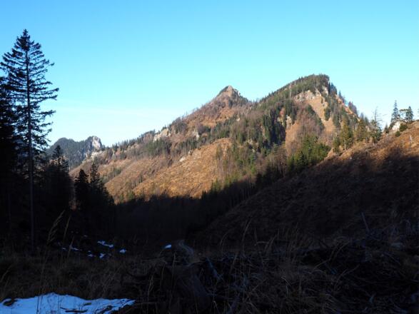Trapez, Steineck