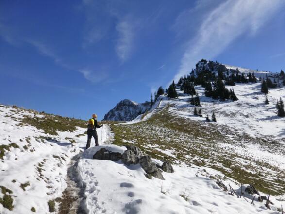 Weg zum Rotwandhaus (1737 m)