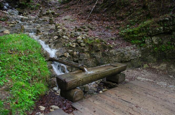 Wasserlauf am Weg