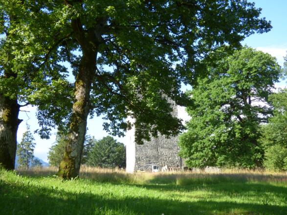 Burgruine Tosters
