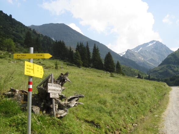 vorbei an der Alpe Rossfall