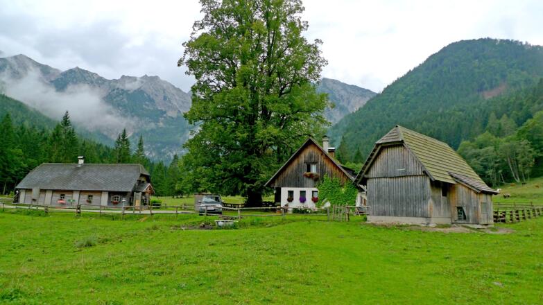 Laussabaueralm