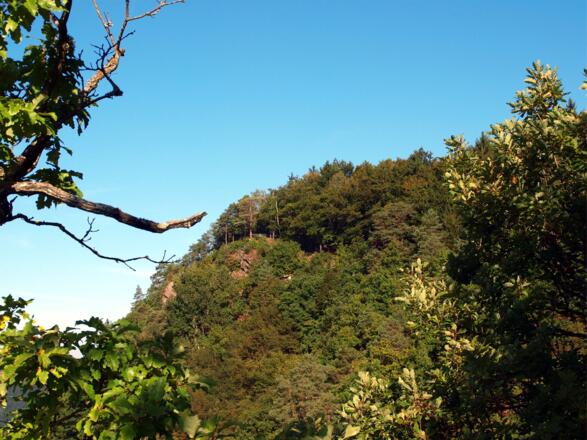 Blick vom Kleinen zum Großen Steinerfelsen
