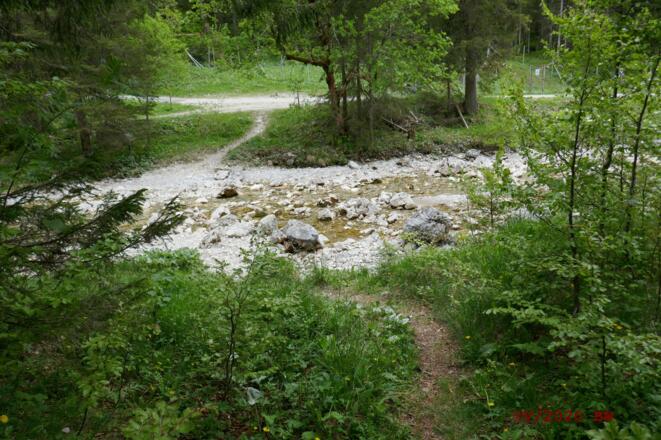 der Steig ist leicht zu finden