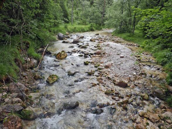 Am Frechenbach