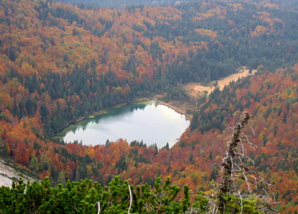 Blick zum Frillensee