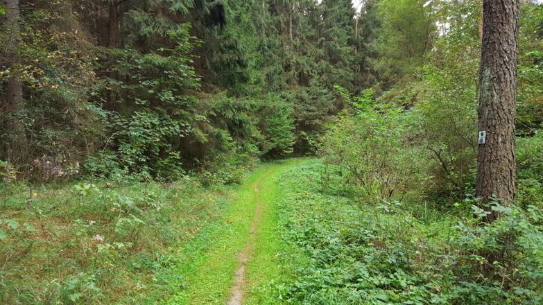 Idyllischer Pfad hinter Kleinlesau