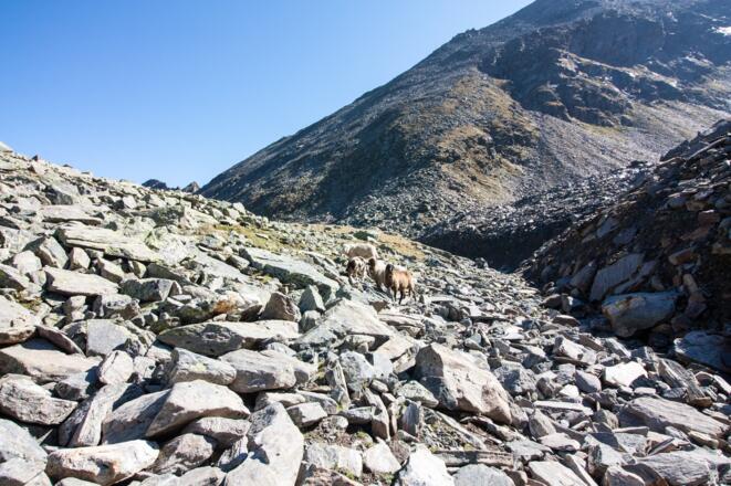 Hinab in den Graben und drum herum hinauf