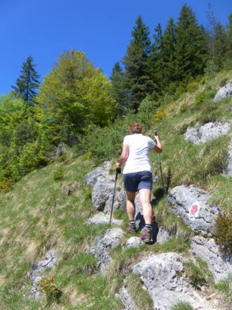 schrofiger Quergang aus der Steilwiese
