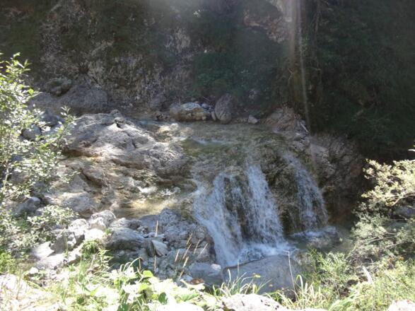 Am Kälberalpbach entlang