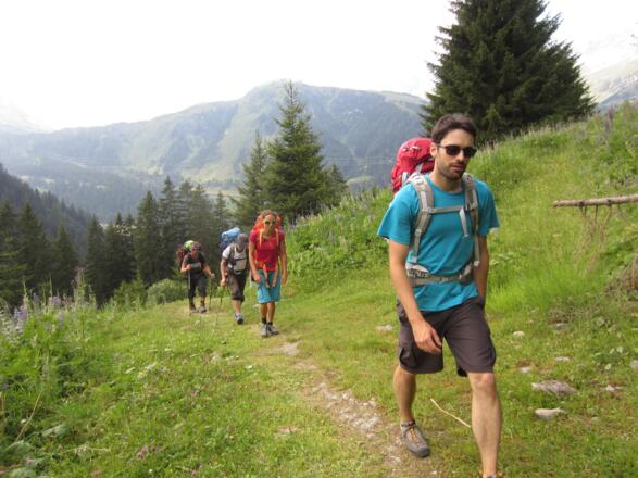unten noch in Wald und Wiese