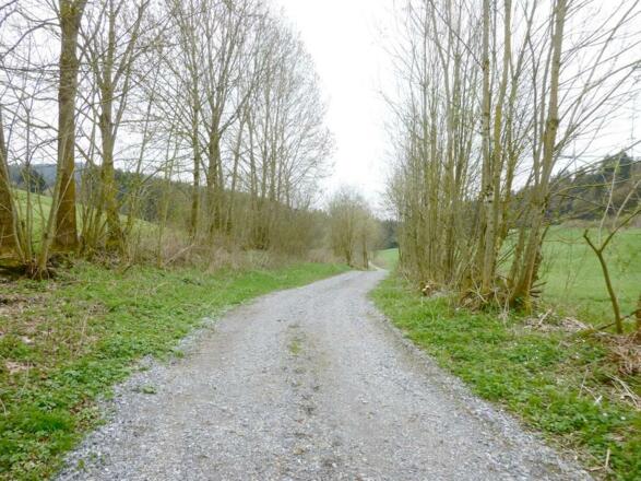 Weg von Grünmühl nach Grün
