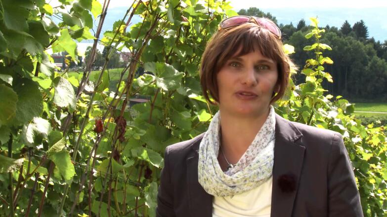 Aussichtspunkt Antoniuskapelle