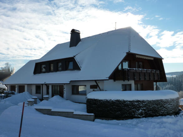 Winter
