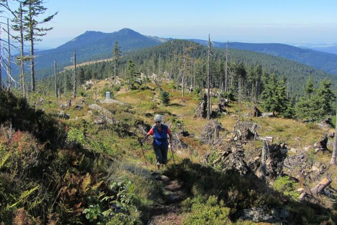 Dank Kyrill freie Sicht zurück zu den beiden Ossergipfeln