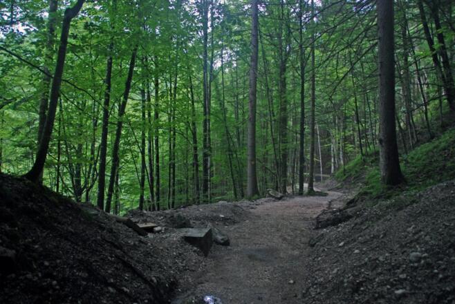 Auf dem Stollenweg