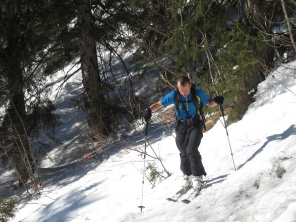 Aufstieg durch den Wald
